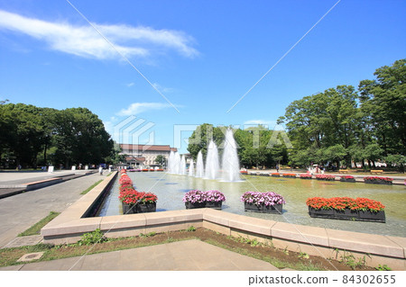 Ueno Park, Taito Ward, Tokyo 84302655