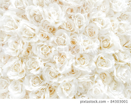 White flowers full of roses background material White flowers full of roses background material 84303001