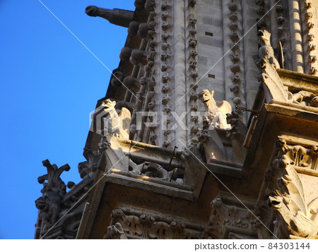 Gargoyle in the cathedral Gargoyle in the cathedral 84303144