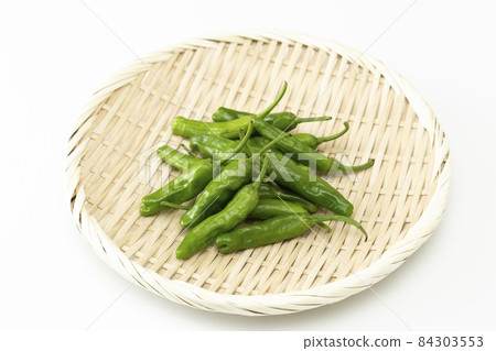 Shishito白背 84303553