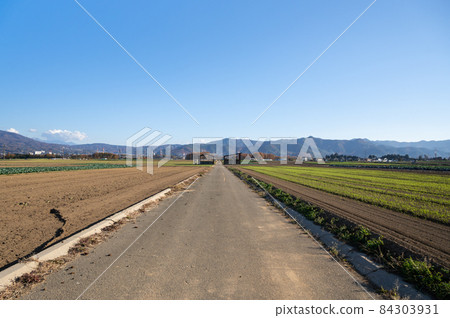 通往農村的路 84303931