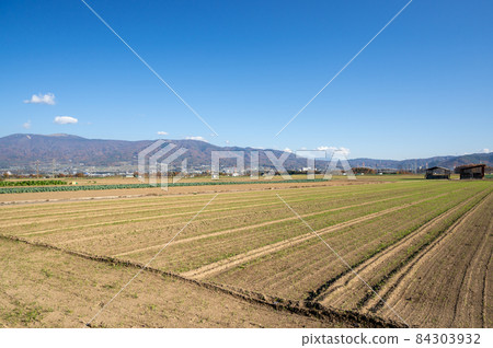 Timothy cultivation Shiojiri city 84303932