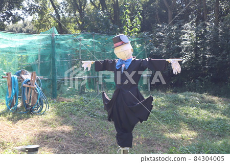 稻草人站在綠樹成蔭的田野和雜草叢生的森林中,充滿陽光和陰霾。 稻草人站在綠樹成蔭的田野和雜草叢生的森林中,充滿陽光和陰霾。 84304005