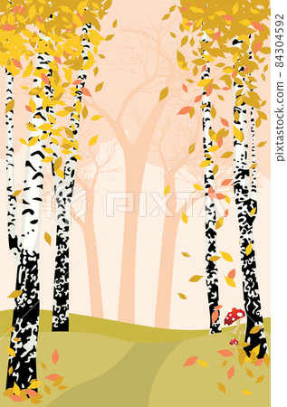 Autumn birch trees 84304592