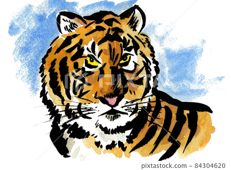 老虎211123pix7 84304620