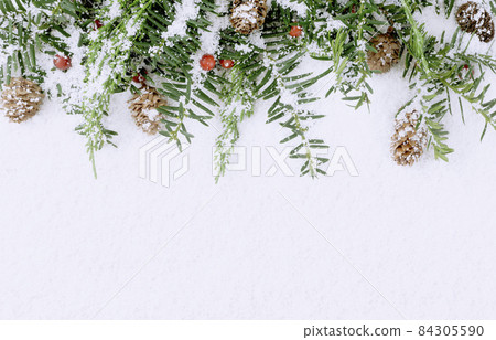 Plants and copy space on the snow 84305590