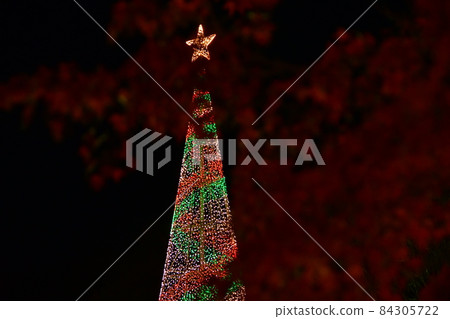 Ashikaga Flower Park 84305722