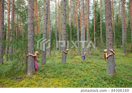 Children hug pine trees in a forest 84306189