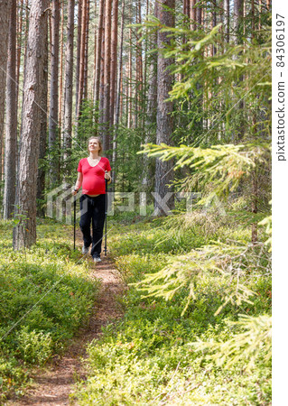 Pregnant woman walking in a summer forest using hiking poles 84306197
