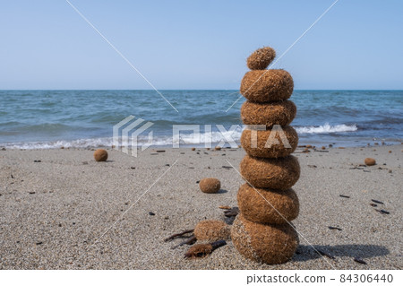 Pile of posidonia oceanica neptune grass on italian mediterranean beach 84306440