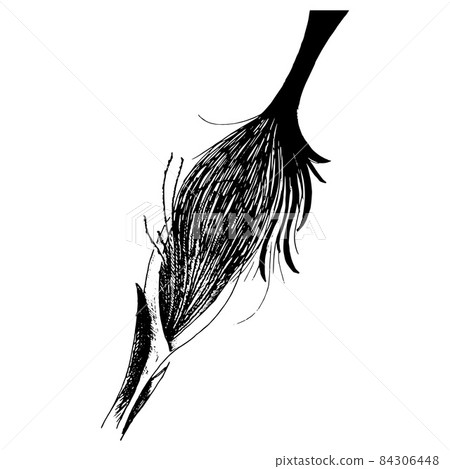 Connect of nature. Tsaheylu. Hand-drawn sketch. Vector illustration Connect of nature. Tsaheylu. Hand-drawn sketch. Vector illustration 84306448