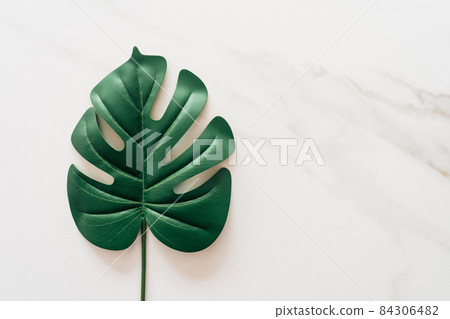 Tropical green leaf on white marble texture abstract background. Tropical green leaf on white marble texture abstract background. 84306482