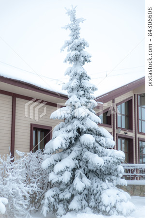 Big Christmas tree in the snow in front of a beautiful house, the theme of winter, new year, comfort 84306608