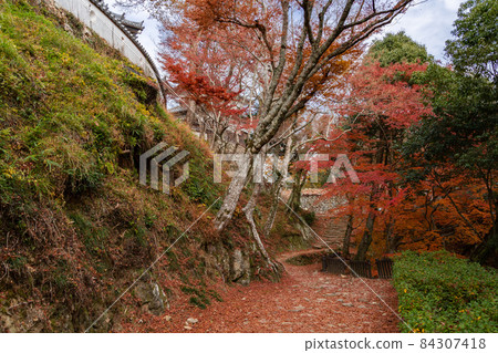Castle in the sky: Stone walls and autumn leaves of Bitchu Matsuyama Castle 84307418
