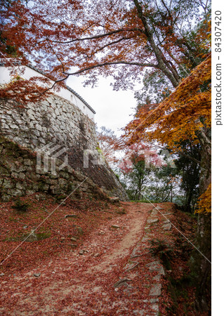 Castle in the sky: Stone walls and autumn leaves of Bitchu Matsuyama Castle 84307420