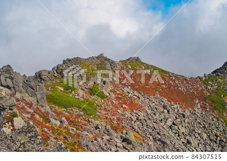 Tomuraushi脊線 Tomuraushi脊線 84307515