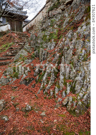 Castle in the sky Bitchu Matsuyama Castle Stone wall and autumn leaves at the arm tree gate Castle in the sky Bitchu Matsuyama Castle Stone wall and autumn leaves at the arm tree gate 84307621