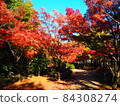 Autumn leaves path Autumn leaves path 84308274