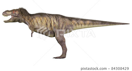 T-REX ☆ 霸王龍 ☆ 霸王龍 T-REX ☆ 霸王龍 ☆ 霸王龍 84308429