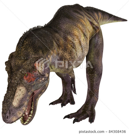 T-REX ☆ 霸王龍 ☆ 霸王龍 T-REX ☆ 霸王龍 ☆ 霸王龍 84308436