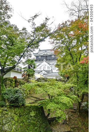 Okazaki Castle seen from the east side (Aichi Prefecture, early November) Okazaki Castle seen from the east side (Aichi Prefecture, early November) 84308493