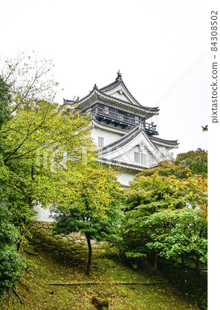 Okazaki Castle seen from the north side (Aichi Prefecture, early November) 84308502