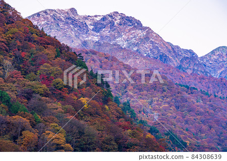 （群馬縣）從湯比索公園看到的谷川岳/谷川山脈，秋色美麗 84308639