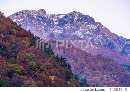 （群馬縣）從湯比索公園看到的谷川岳/谷川山脈，秋色美麗 84308640