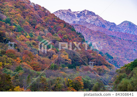 (群馬縣)從湯比索公園看到的谷川岳/谷川山脈,秋色美麗 (群馬縣)從湯比索公園看到的谷川岳/谷川山脈,秋色美麗 84308641