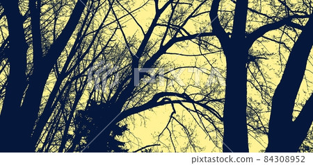 Forest silhouette at sunset near Bukhansan Dullegil in Seoul Forest silhouette at sunset near Bukhansan Dullegil in Seoul 84308952
