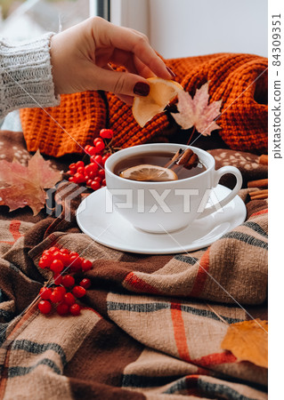 Autumn mood concept. Female hand with red manicure. Hot tea with lemon and cinnamon sticks on cozy sweater scarf background. Fall leaves and berries composition still life. Cup of mulled wine. Tea 84309351
