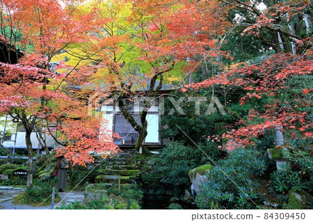 秋季金剛林寺8（滋賀縣愛知郡；江東三山） 84309450