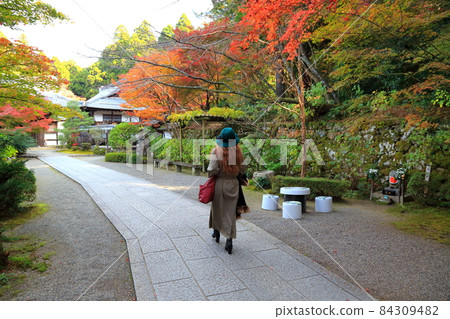 秋季金剛林寺步道37（滋賀縣愛知郡；江東三山） 84309482