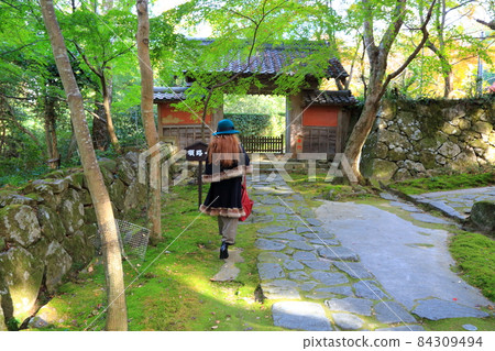 秋季金剛林寺步道48(滋賀縣愛知郡;江東三山) 秋季金剛林寺步道48(滋賀縣愛知郡;江東三山) 84309494