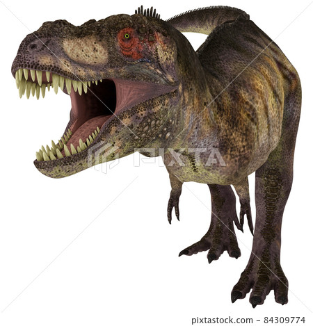 T-REX ☆ Tyrannosaurus ☆ Tyrannosaur T-REX ☆ Tyrannosaurus ☆ Tyrannosaur 84309774