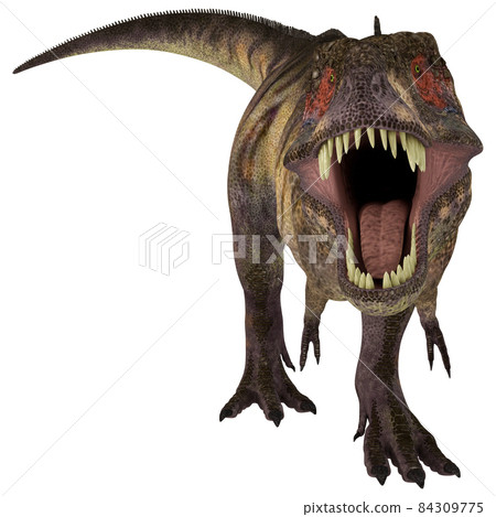 T-REX ☆ Tyrannosaurus ☆ Tyrannosaur T-REX ☆ Tyrannosaurus ☆ Tyrannosaur 84309775