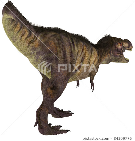 T-REX ☆ Tyrannosaurus ☆ Tyrannosaur T-REX ☆ Tyrannosaurus ☆ Tyrannosaur 84309776