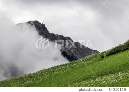 Alpine hill covered with fresh green grass on a foggy day 84310119