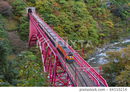[Toyama Prefecture] Kurobe Gorge Railway Shinyamabiko Bridge (from Yamabiko Observatory) 84310214