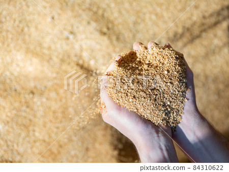 Closeup of handful of soybean hulls in male hands 84310622