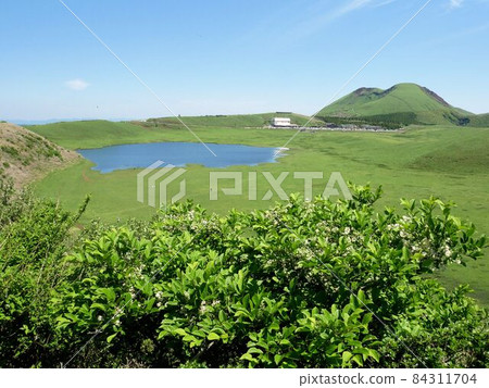 Scenery of fresh green Aso and Kusachirigahama (Aso City, Kumamoto Prefecture) 84311704
