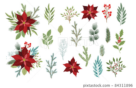 Set of winter plants, flowers and berries. Can be used for Christmas design. Set of winter plants, flowers and berries. Can be used for Christmas design. 84311896