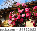 Pink flowers bloom Pink flowers bloom 84312082