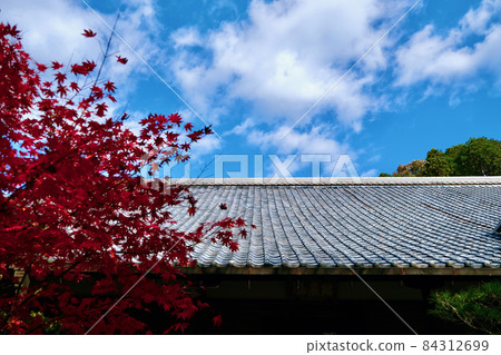 【京都】秋天的圓光寺（秋葉） 84312699