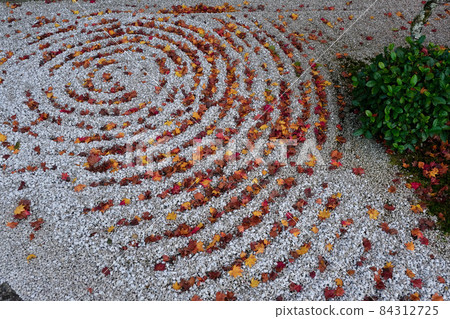 [Kyoto] Enkoji Temple in Autumn (Autumn leaves) 84312725