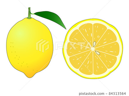 A set of a lemon with leaves and a cross section of a lemon cut across 84313564