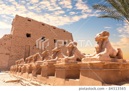 Karnak Temple, an avenue of human headed sphinxes, Luxor, Egypt 84313565