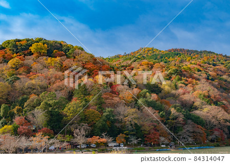 嵐山秋葉風光 嵐山秋葉風光 84314047