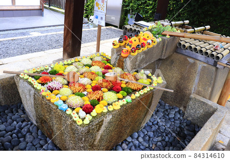 Hanatemizu of Konkai Komyoji Temple, a shrine and temple in Kyoto 84314610