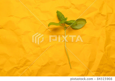 Fresh green basil leaves set on yellow background. Top view fresh organic food with copy space 84315908